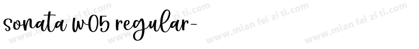 sonata w05 regular字体转换